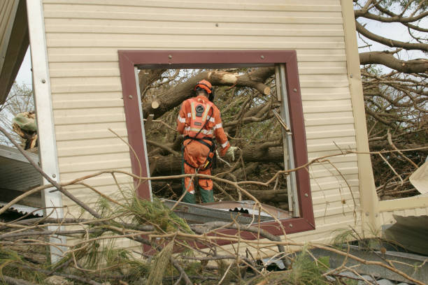 Kearney, MO Tree Care Services Company